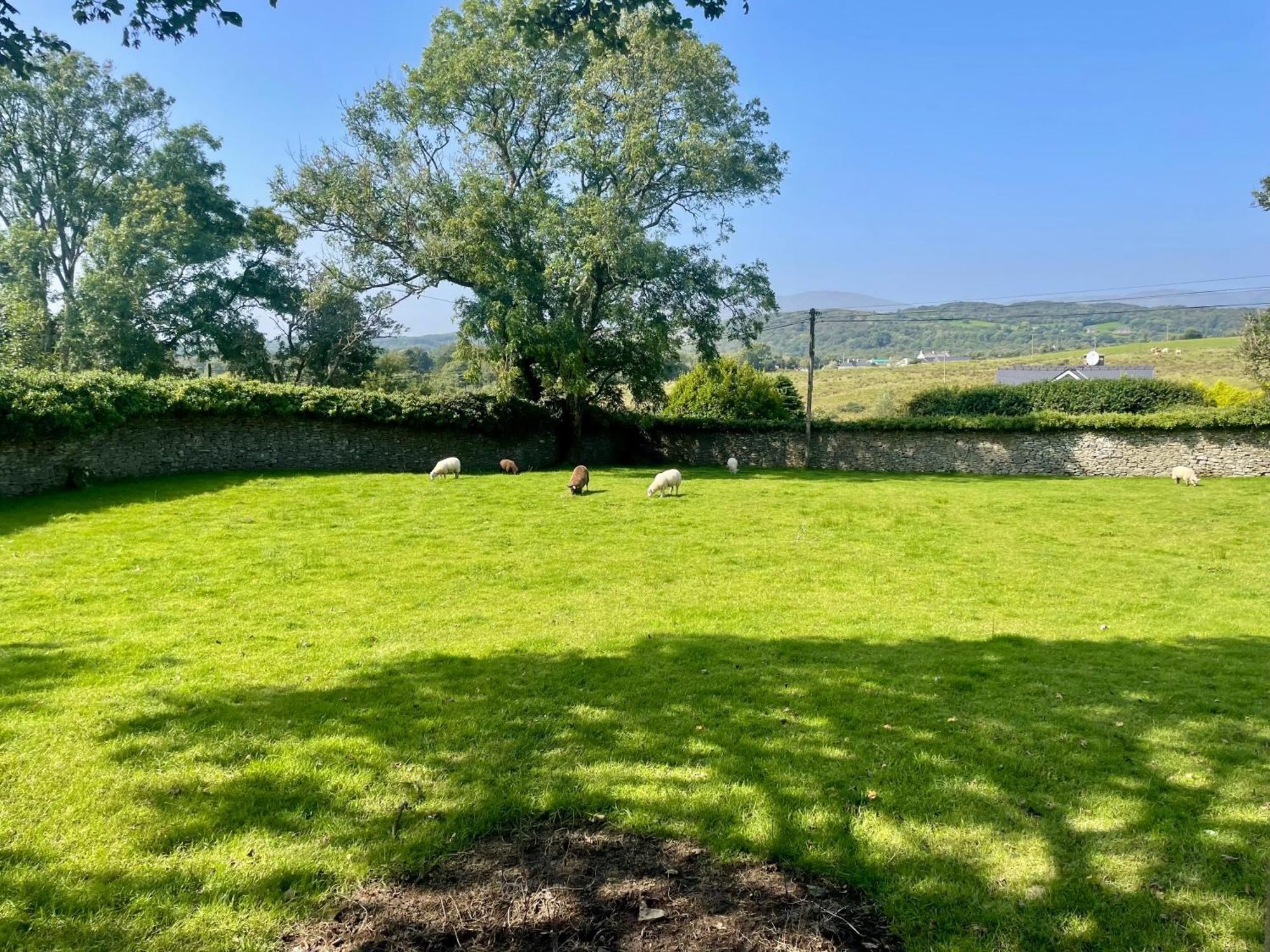 Country Farm House Bruckless Εξωτερικό φωτογραφία